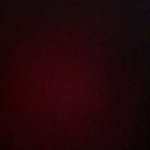 Meet your Posher, Pauline